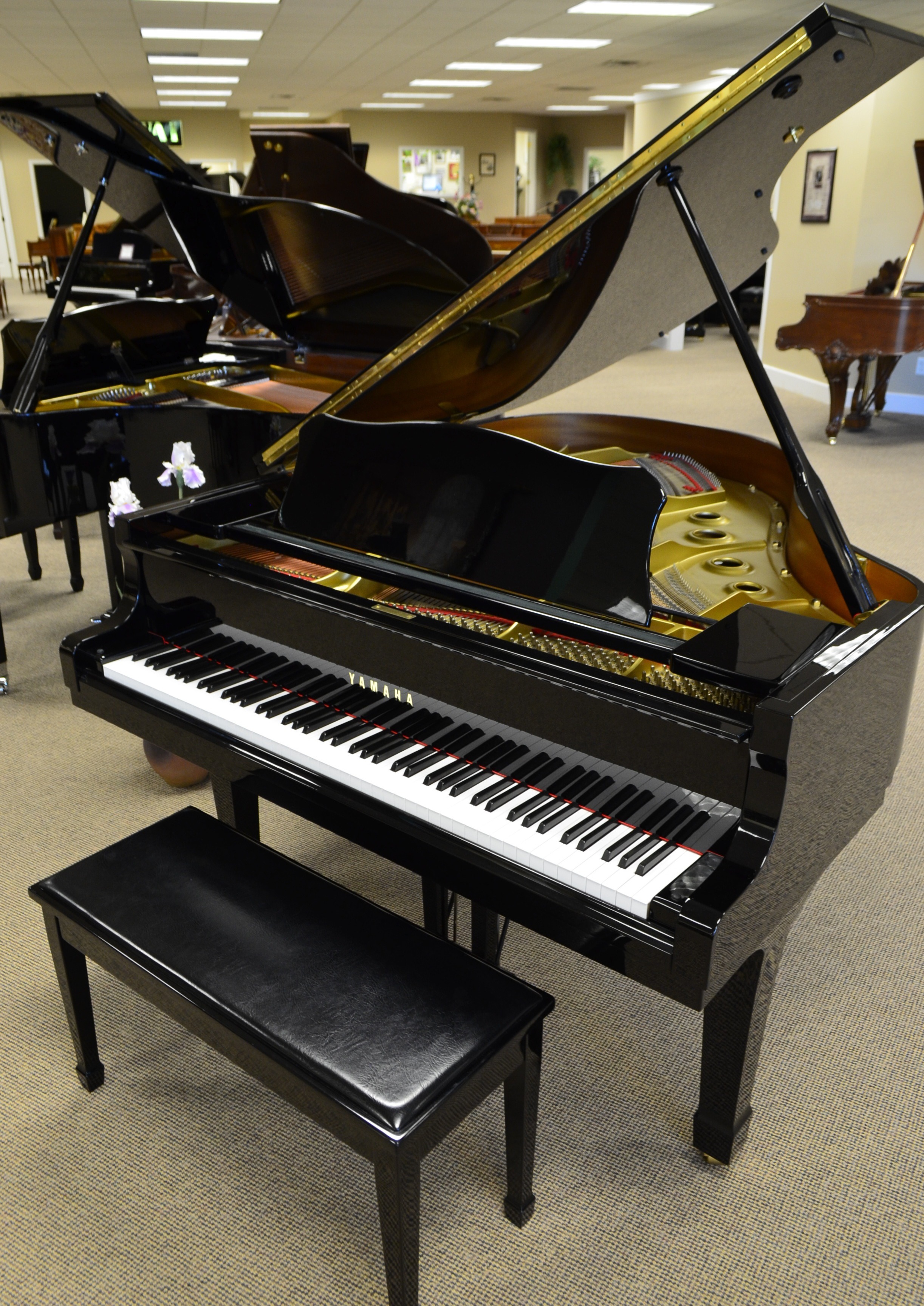 Featured Piano Yamaha G2 Baby Grand Piano PianoNotes Online